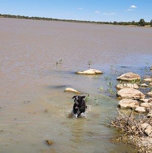 Meet your Posher, Jo ann
